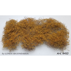 Rovi/Cesp autunno foglie picc